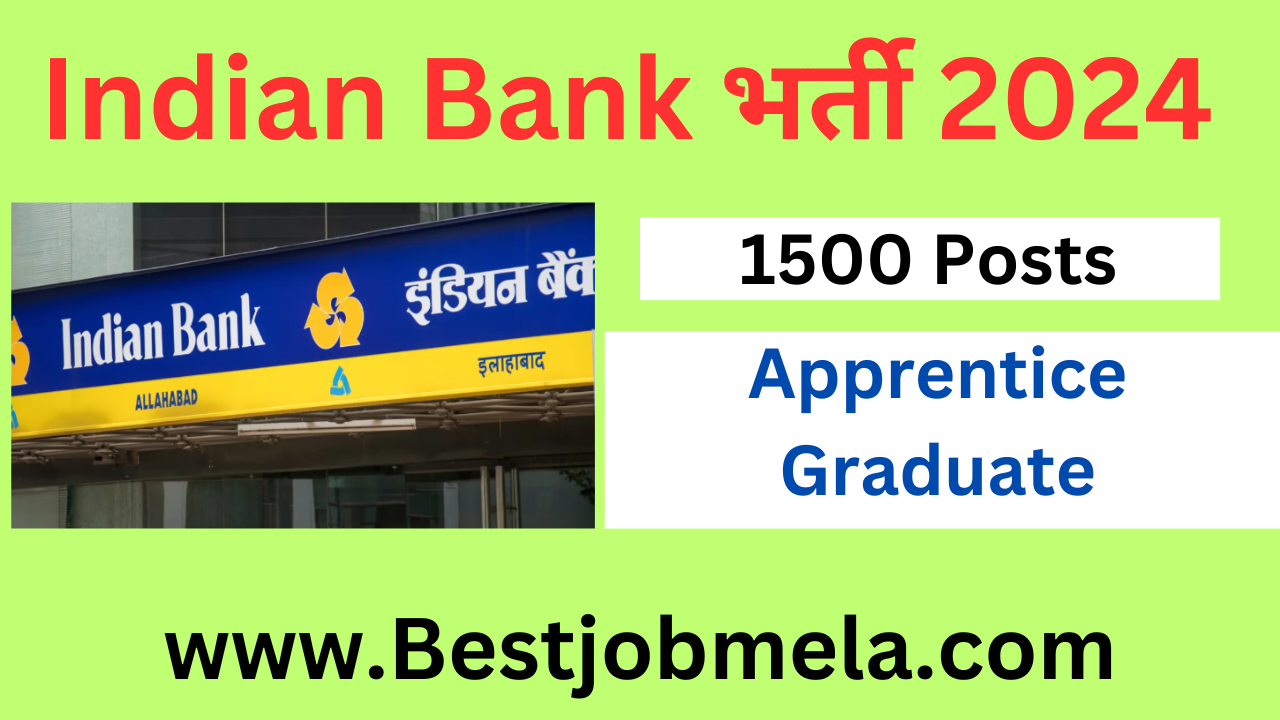 Indian bank apprentice